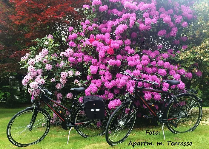 Lejlighed Shervin Nuembrecht